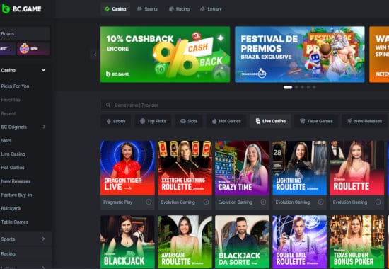 Exploring the Innovative Features of BC Game Crypto